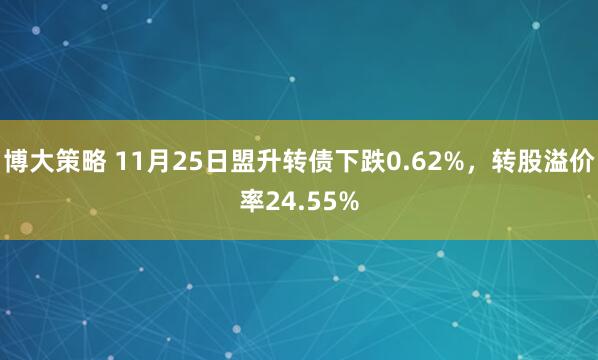 博大策略 11月25日盟升转债下跌0.62%，转股溢价率24.55%